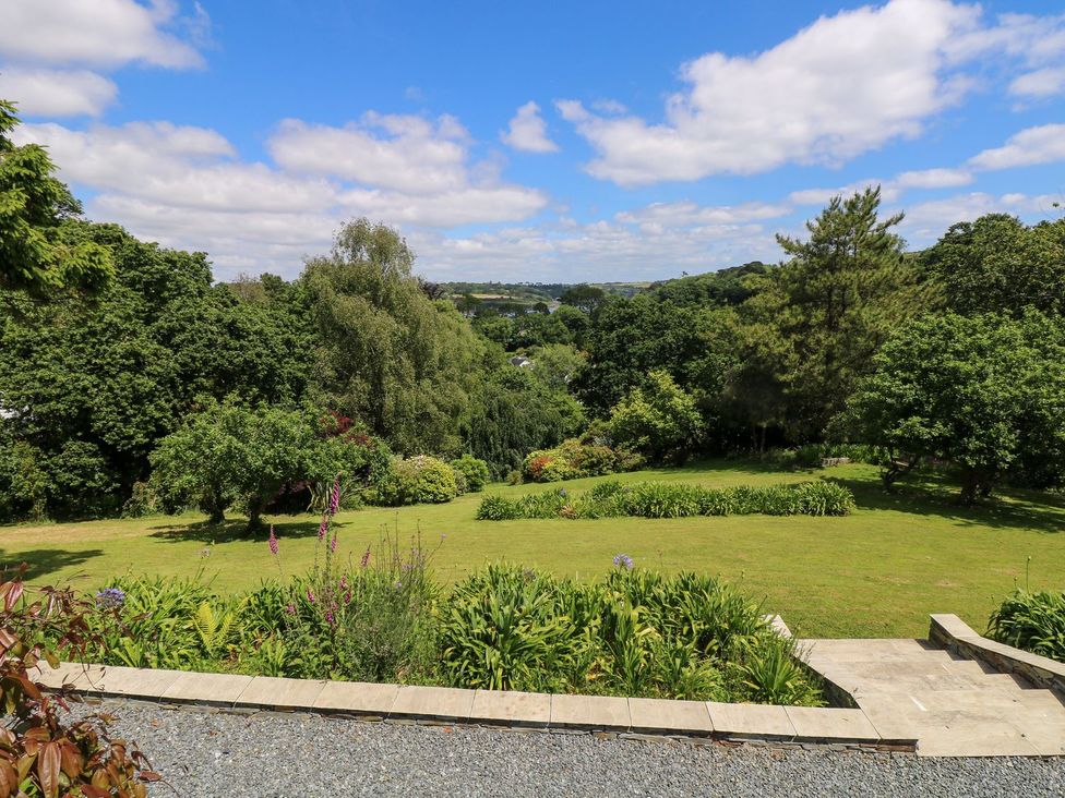 A garden with trees and plants at Wood Meadow in Helston