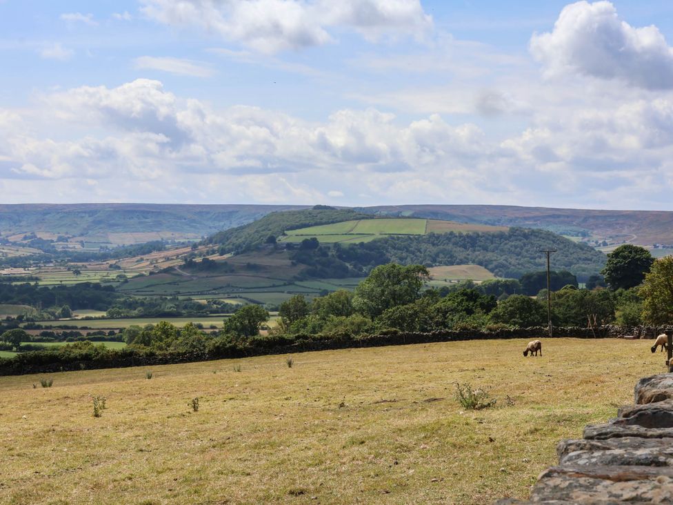A view of hills and fields with grazing animals at Swallow Cottage in Lealholm