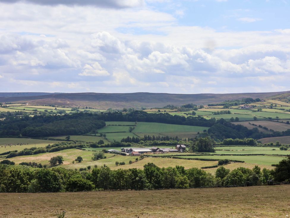 A landscape view with fields and trees at Swallow Cottage in Lealholm