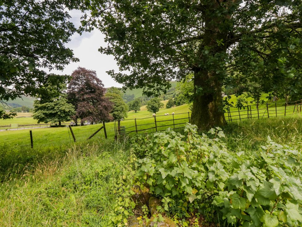 A rural landscape with trees and a field at Bobbin Nook