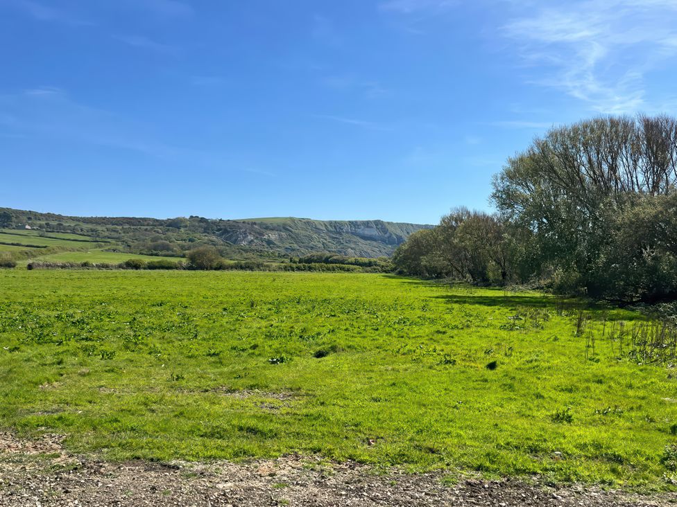 A grassy field with trees and hills under a clear blue sky at The Orchard in Ringstead