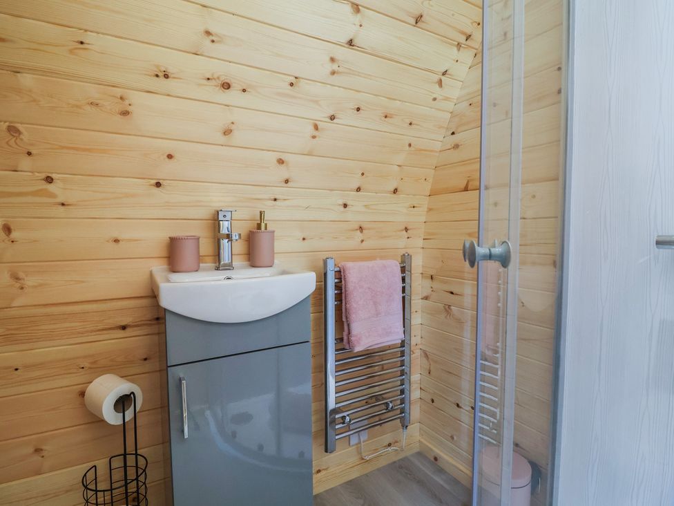 A bathroom with sink and shower at Cennin Pedr in Ruthin