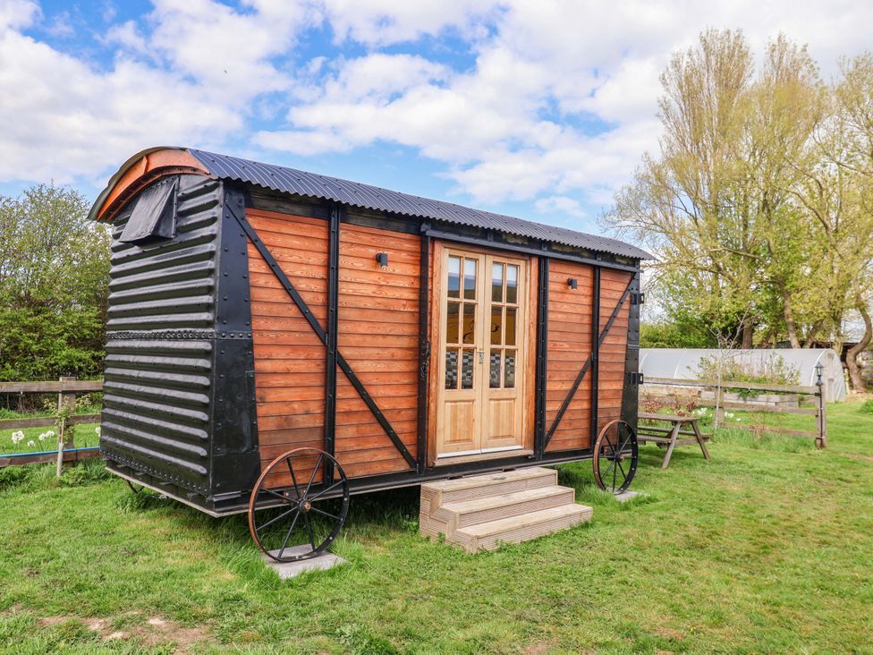 A tiny house with wooden exterior and steps at The Damselfly