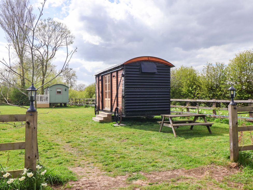 An outdoor area with a black shepherd's hut and green shed at The Damselfly