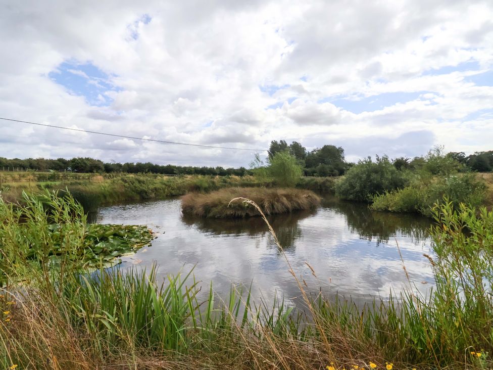A pond with grass and trees at The Damselfly in 