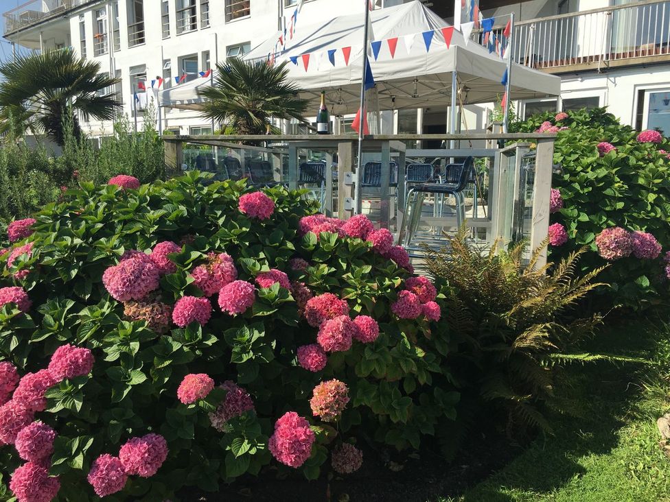 A garden with flowers and a tent at 24 The Salcombe in Salcombe