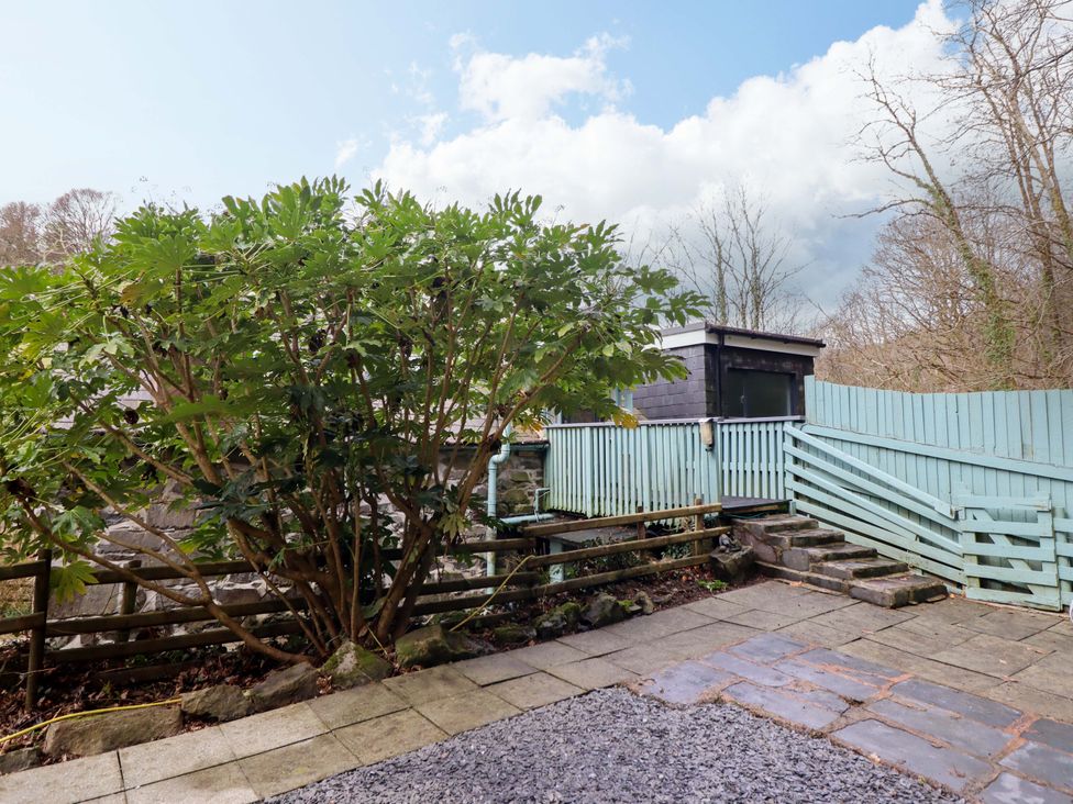 An outdoor area with a bush and steps at Millers Loft Llanrwst