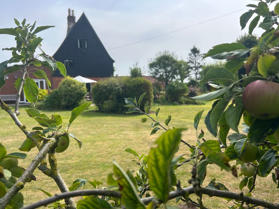 A garden with an apple tree and a large house at Cutbush Farmhouse in Norwich
