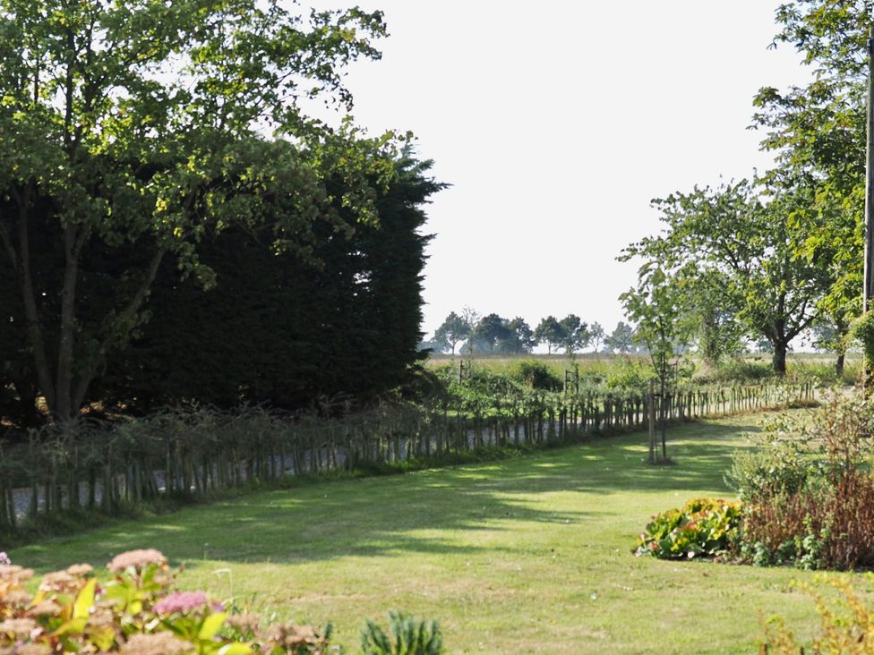 A garden with trees and grass at Cutbush Farmhouse in Norwich