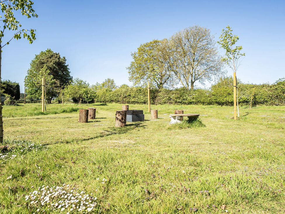 An outdoor area with logs and trees at Cutbush Farmhouse in Hingham