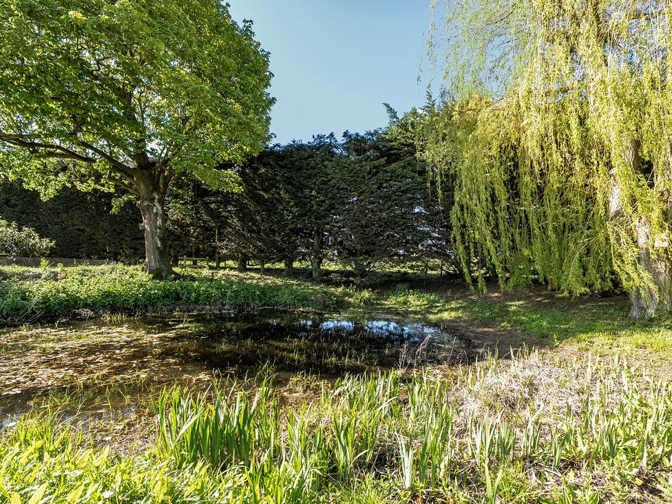 A garden with trees and a pond at Cutbush Farmhouse in Hingham