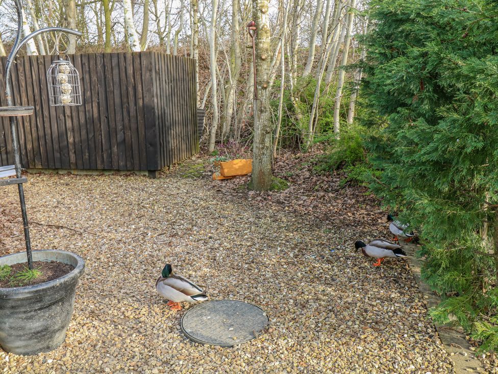 The Nest Lodge 55 - Lincolnshire - 1199547 - thumbnail photo 15