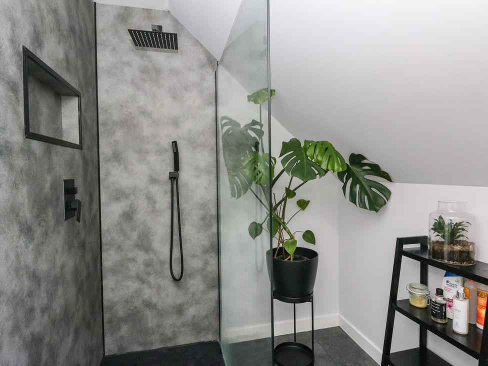 A bathroom with a shower and a plant at 3 Linshader Stornoway