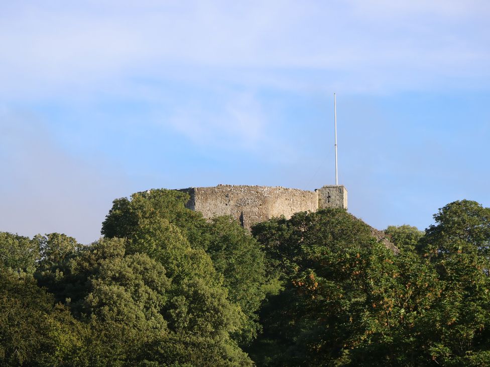 A castle on a hill surrounded by trees at 5 Castle Street Newport, Isle Of Wight