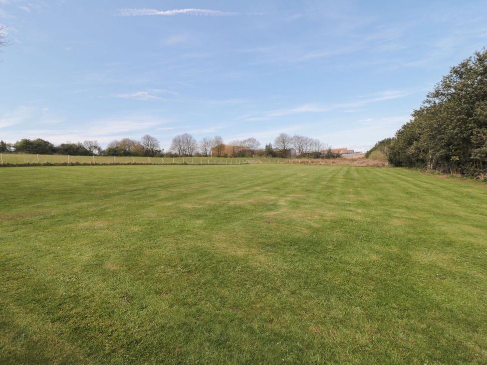 A field with grass and trees at The Calf House in Lingdale near Saltburn-by-the-Sea