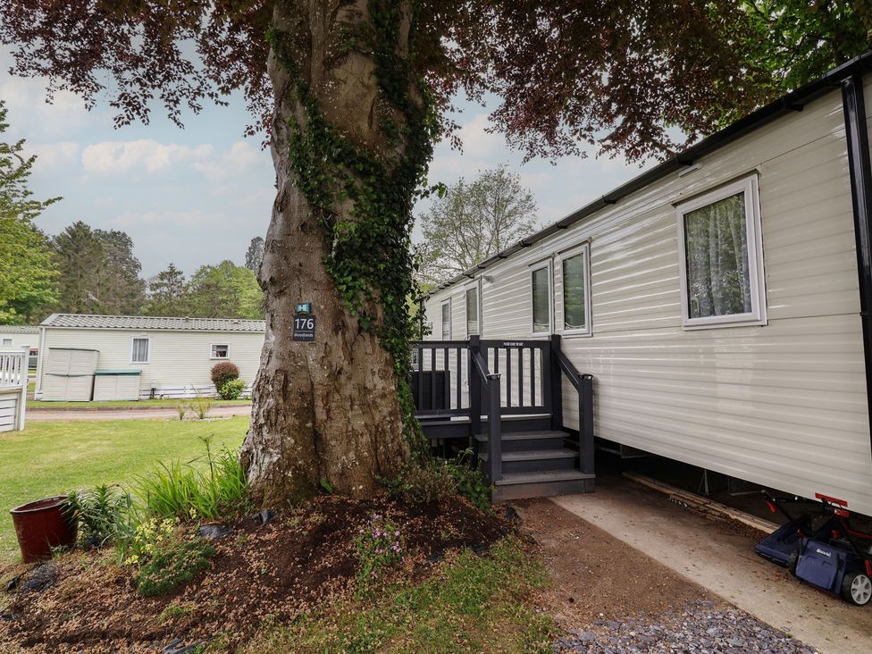 An outdoor view of a caravan park with a tree at Willerby Malton in Ruthin