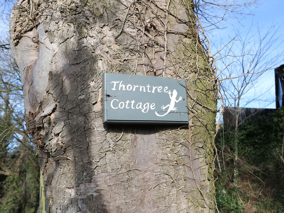A sign attached to a tree indicating Thorn Tree Cottage in Hope Valley