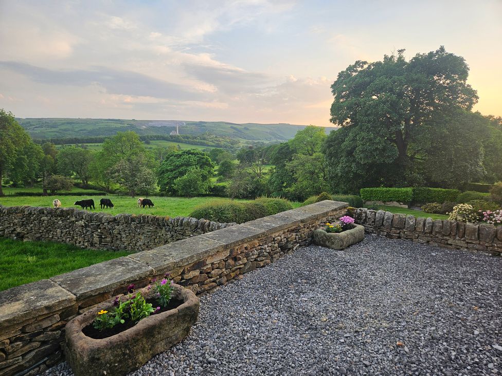 An outdoor view with cows and trees at Thorn Tree Cottage Aston near Hope