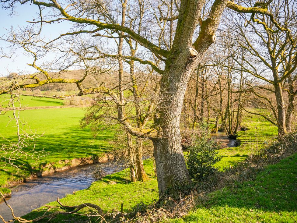 A landscape with trees and a stream at Oak Lodge in Llangunllo