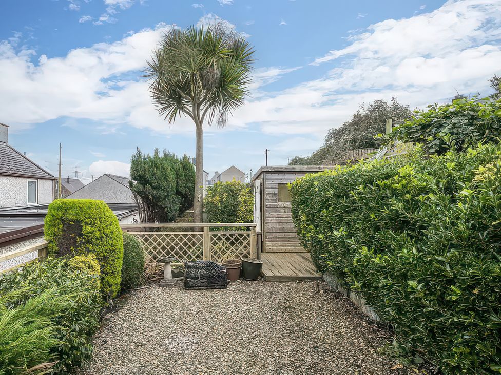 A garden with a palm tree and gravel path at Preswylfa