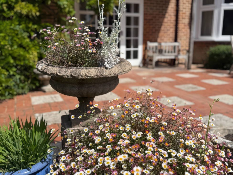 A garden with a planter and flowers at Avenue Road in Lymington