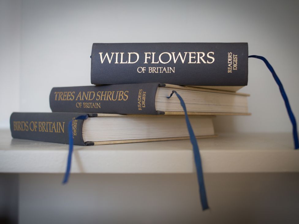 A collection of nature books stacked on a shelf at Stanbridge Cottage in Malmesbury