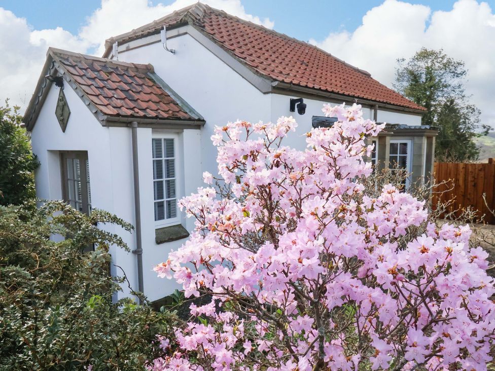A house with pink flowers in front at Little Acorn Whitby