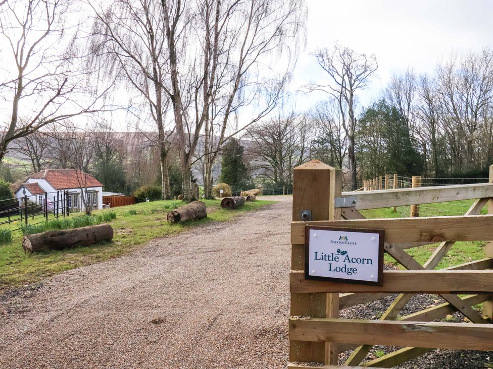 A sign for Little Acorn Lodge at a gravel path with trees and logs in Whitby
