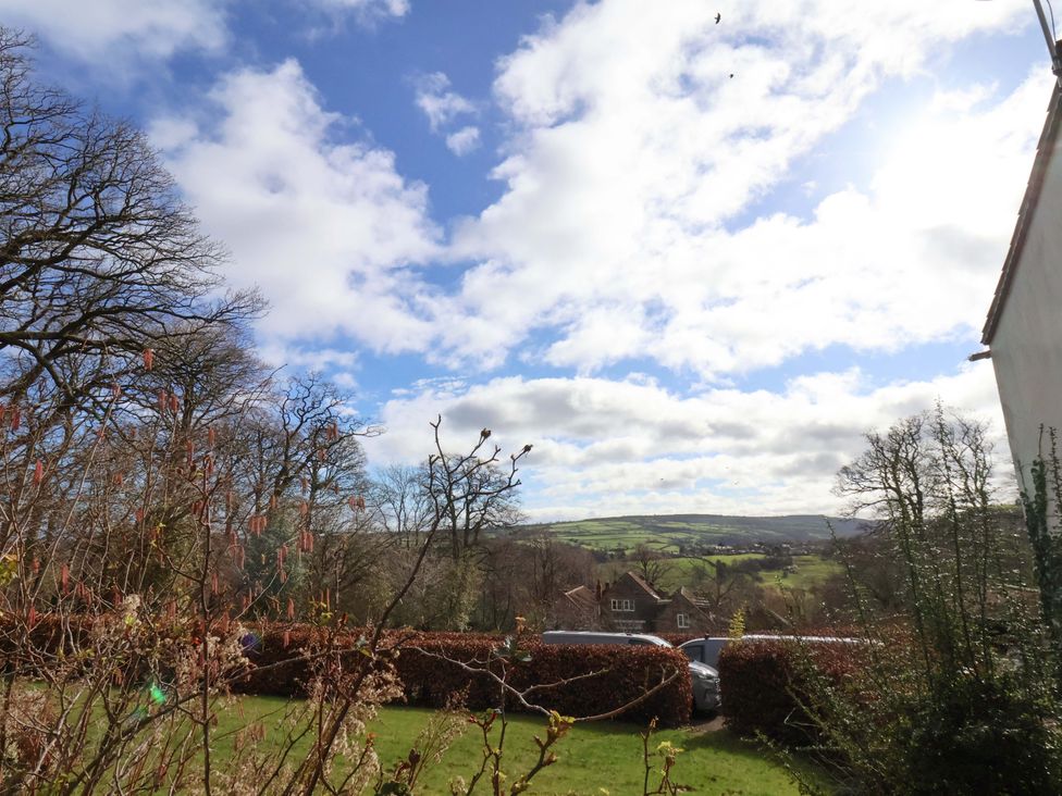 An outdoor area with trees and hills in view at Hawthorn Lodge in Whitby