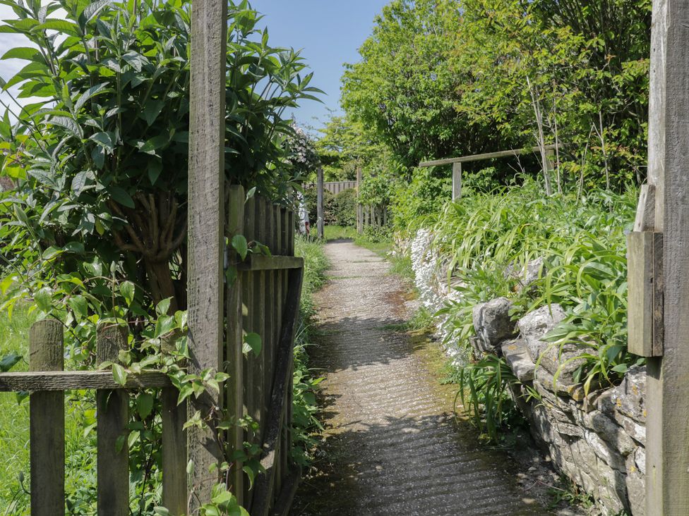 A pathway bordered by greenery at Middle Cottage in Tisbury, Wiltshire