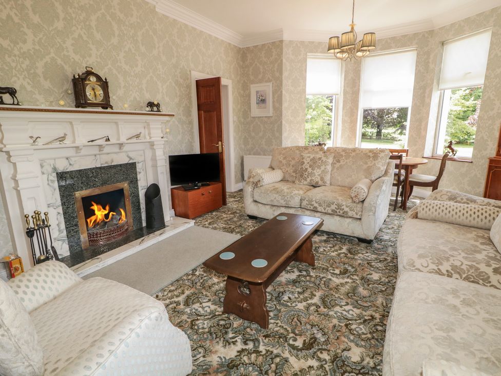 A living room with a fireplace and a television at Riverdene in Mountjoy