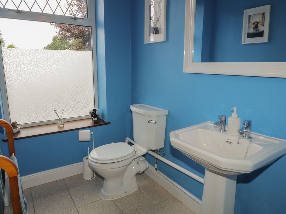 A bathroom with toilet and sink at Riverdene, Mountjoy