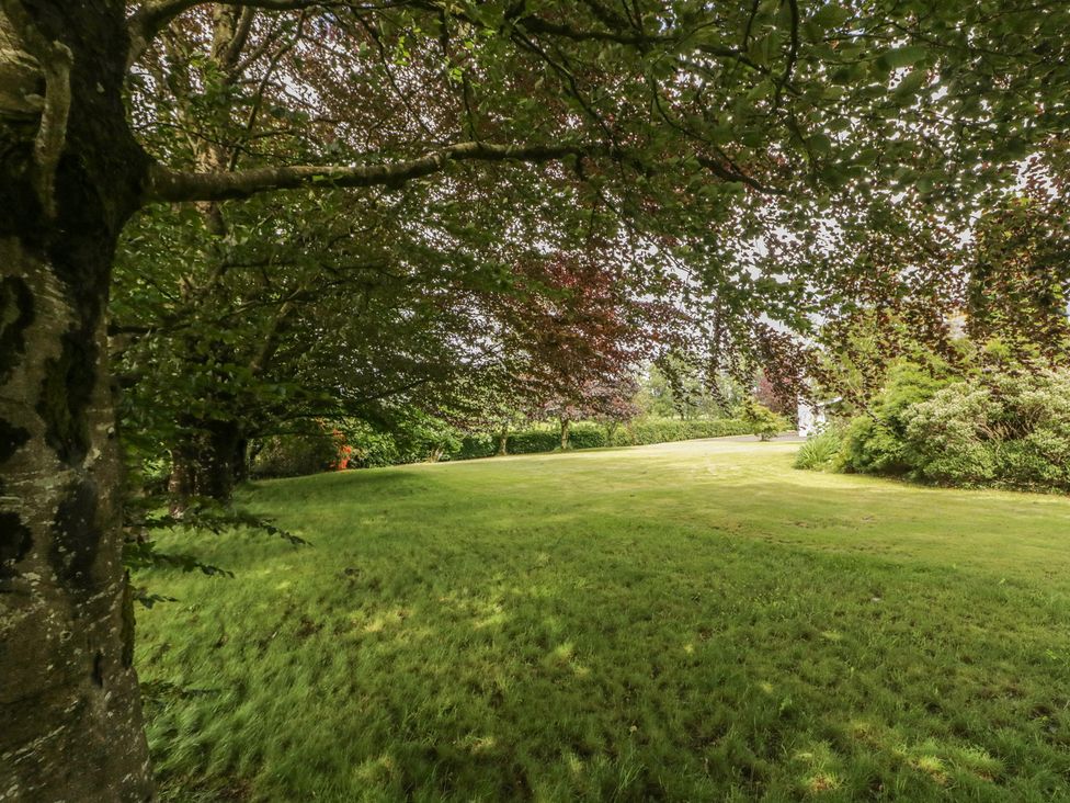 A garden with trees and grass at Riverdene in Mountjoy