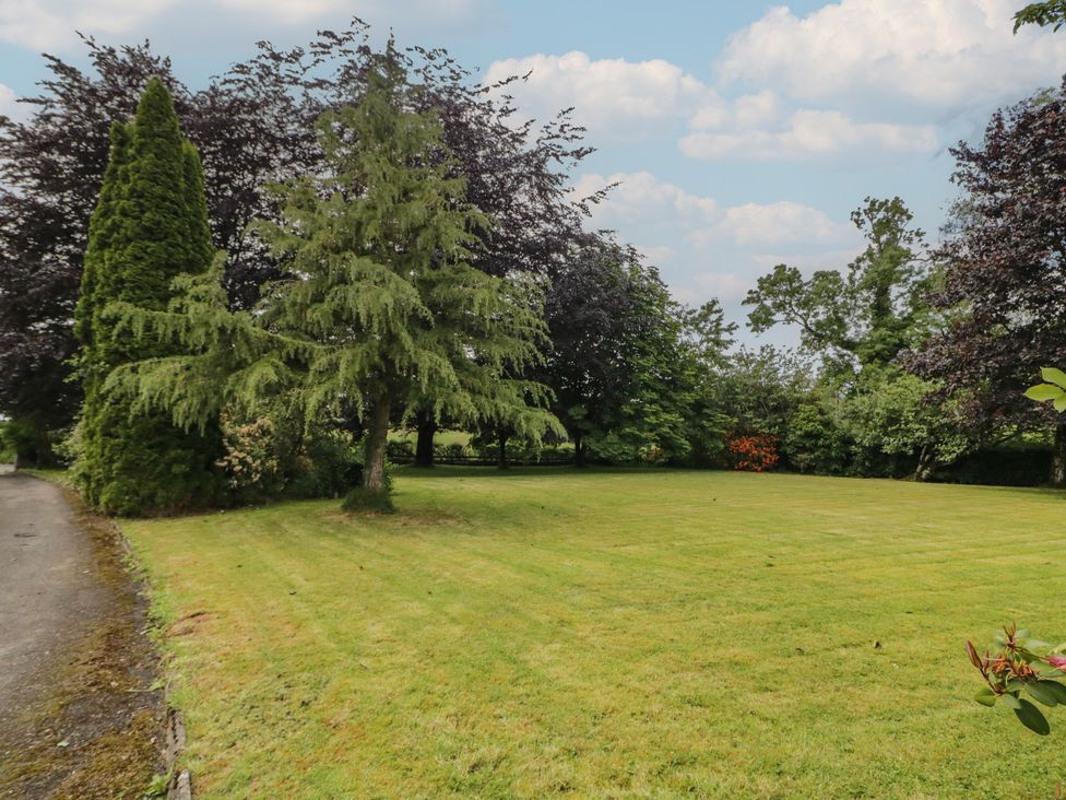 A garden with trees and grass at Riverdene in Mountjoy