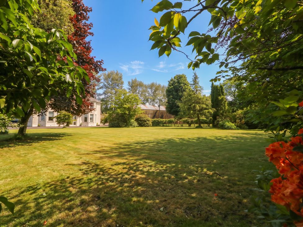 A garden with grass and trees at Riverdene in Mountjoy