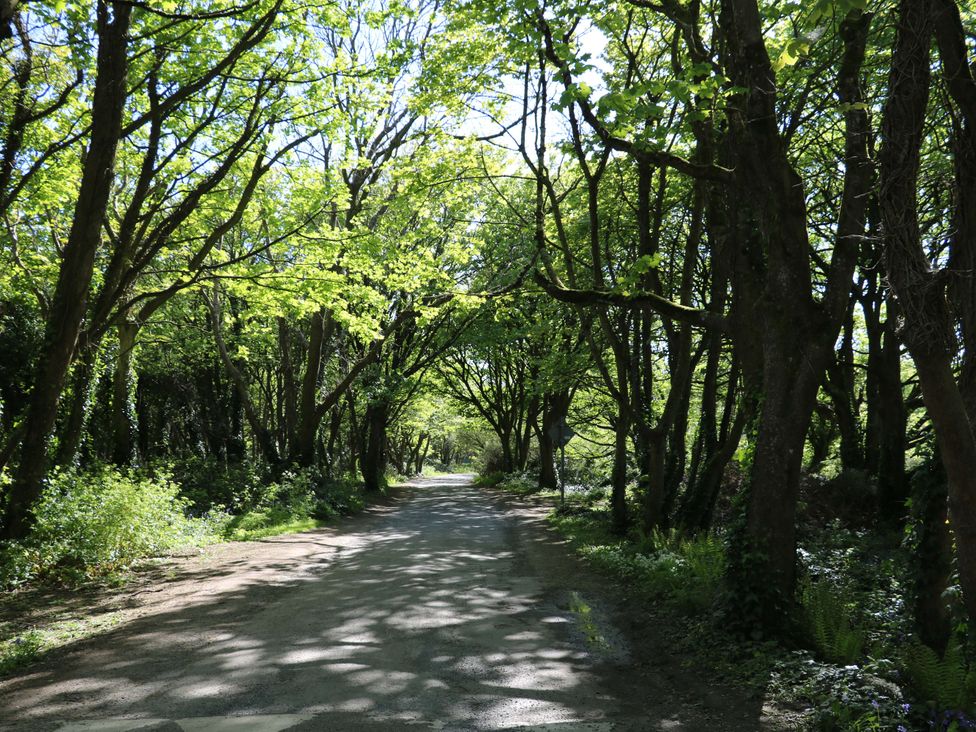 A tree-lined road at Sunnyside River Chapel