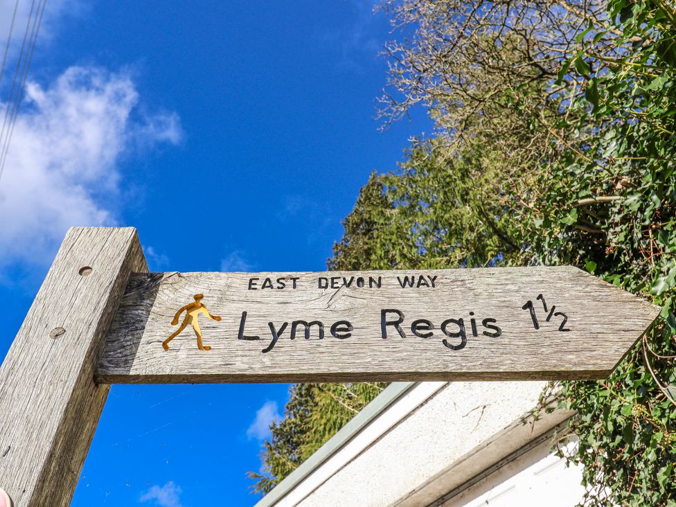 A wooden sign indicating the East Devon Way and Lyme Regis 1.5 miles
