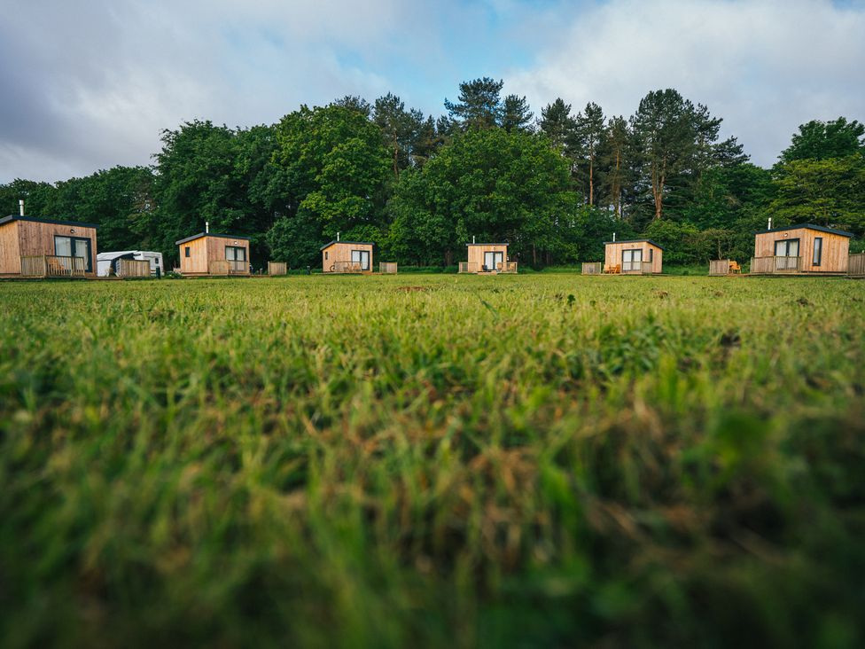 Cabins in a grassy area at Sherwood - Cosy Pod 5, Mansfield