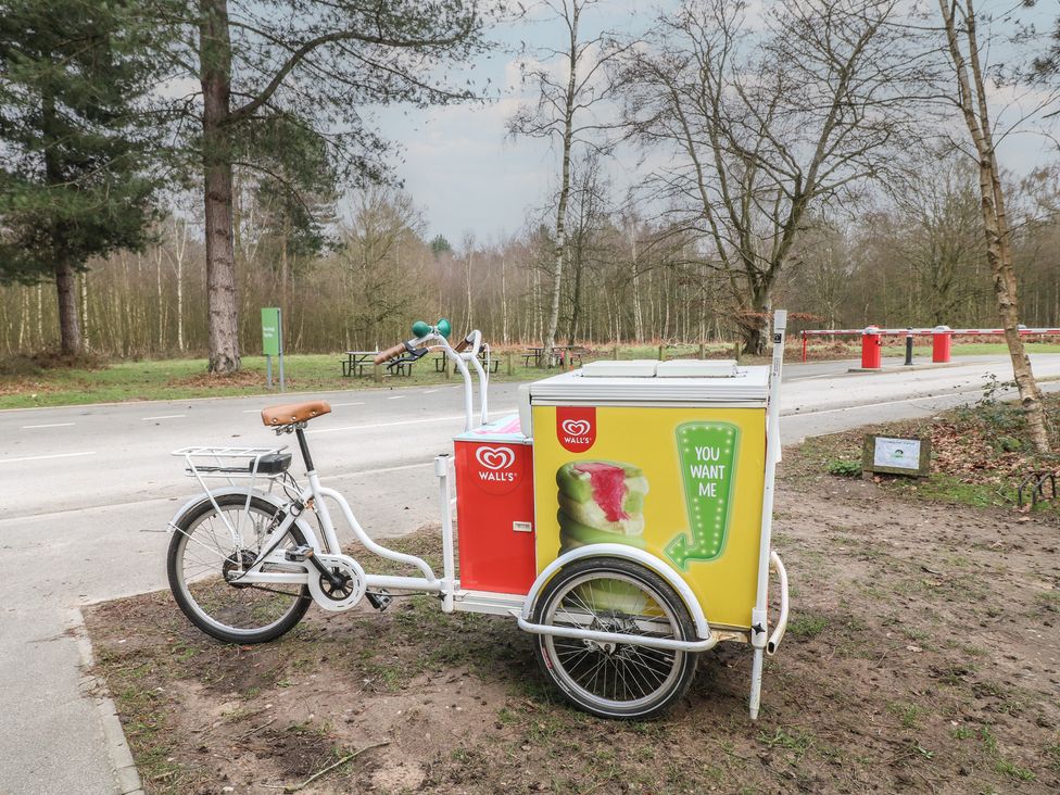 An ice cream cart parked next to a road in a forest area