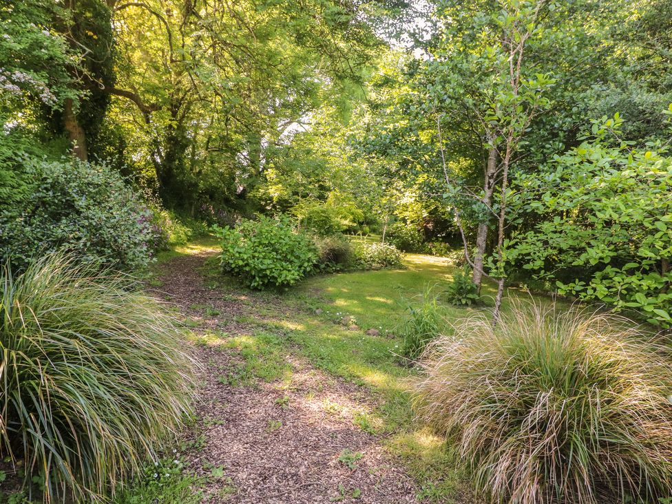 A garden with a path surrounded by bushes and trees at Brookview Goldfinch in Haverfordwest