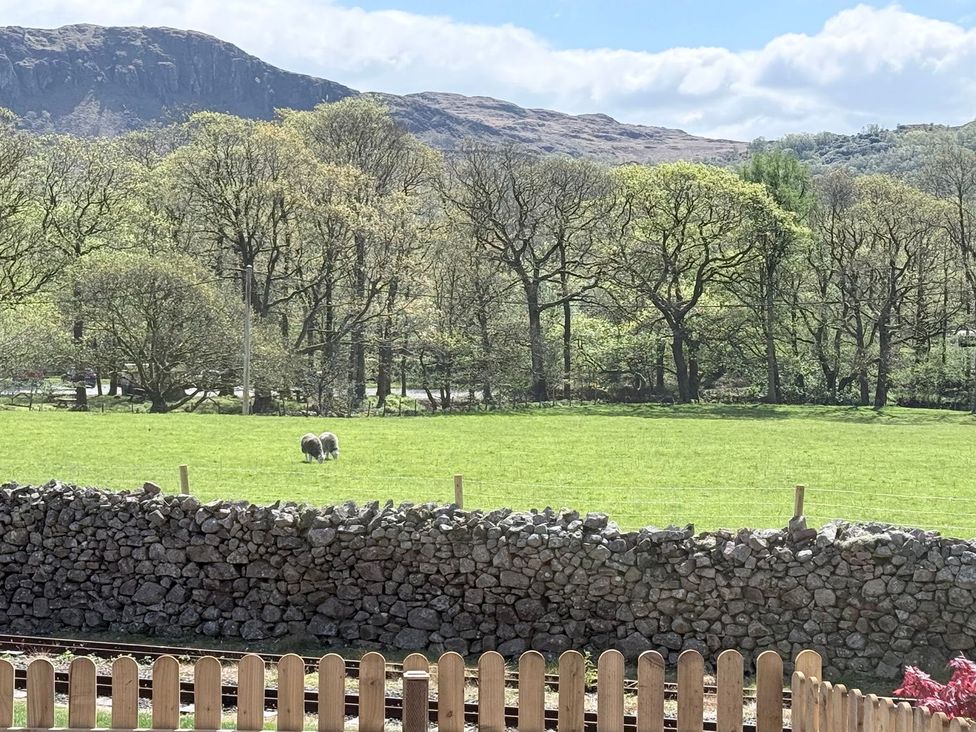 A view of sheep grazing in a field with trees and mountains at Pandora in Holmrook