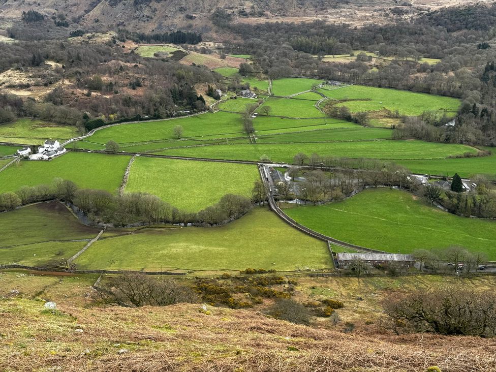 A view of fields and trees at Pandora in Holmrook