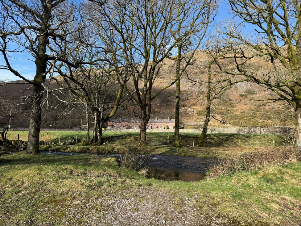 A landscape with trees and a stream at Pandora in Holmrook