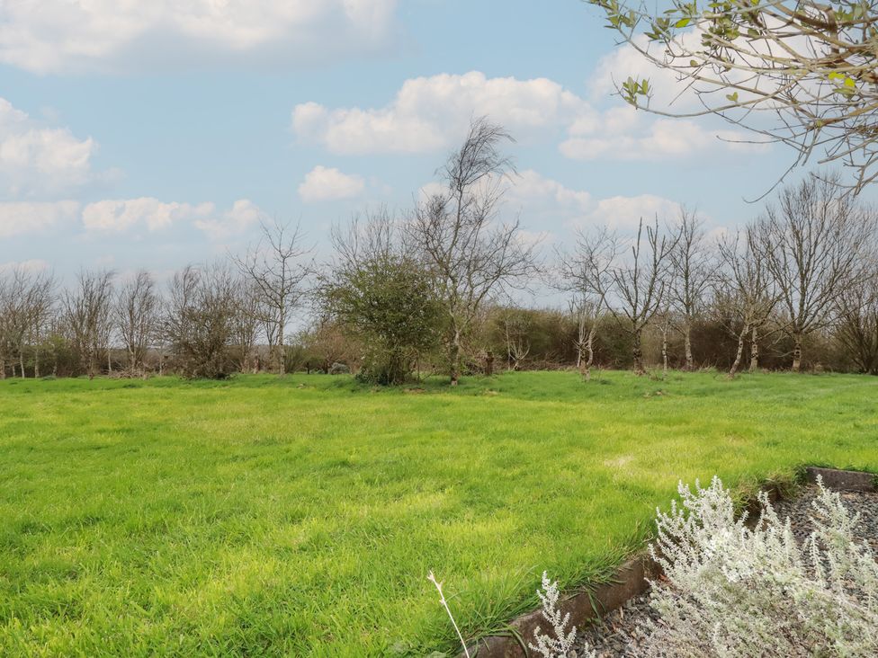 A grassy area with trees and bushes at Little Hallegan in Camborne