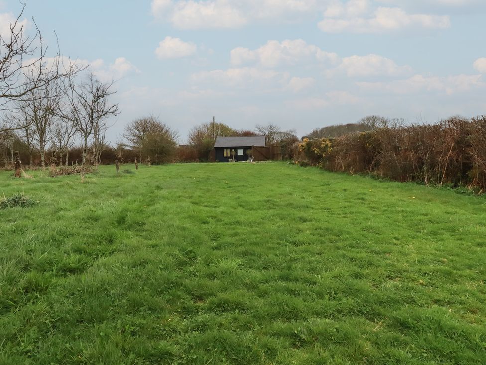 A grassy area with a shed and trees at Little Hallegan in Camborne