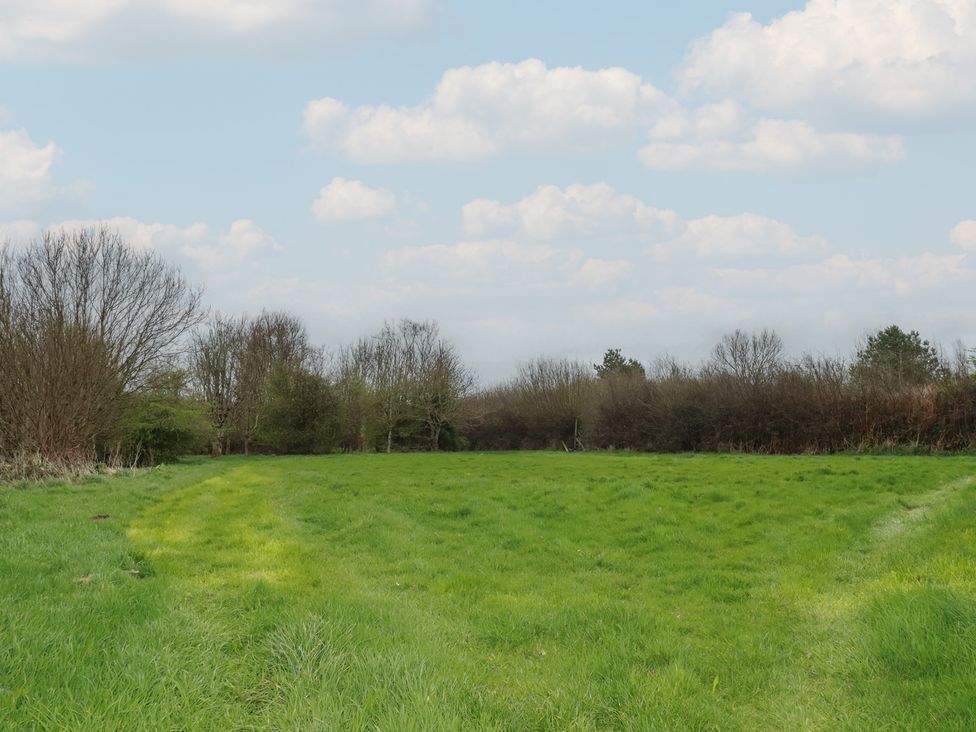 A field with trees and a footpath at Little Hallegan in Camborne