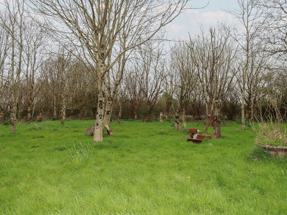 A garden with trees and farm equipment at Little Hallegan in Camborne