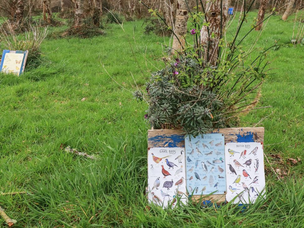 A display of bird identification posters among grass and trees at Little Hallegan, Camborne