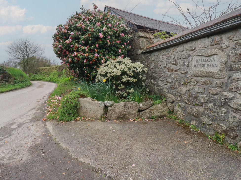 A road with a flowering bush and a stone wall at Little Hallegan in Camborne