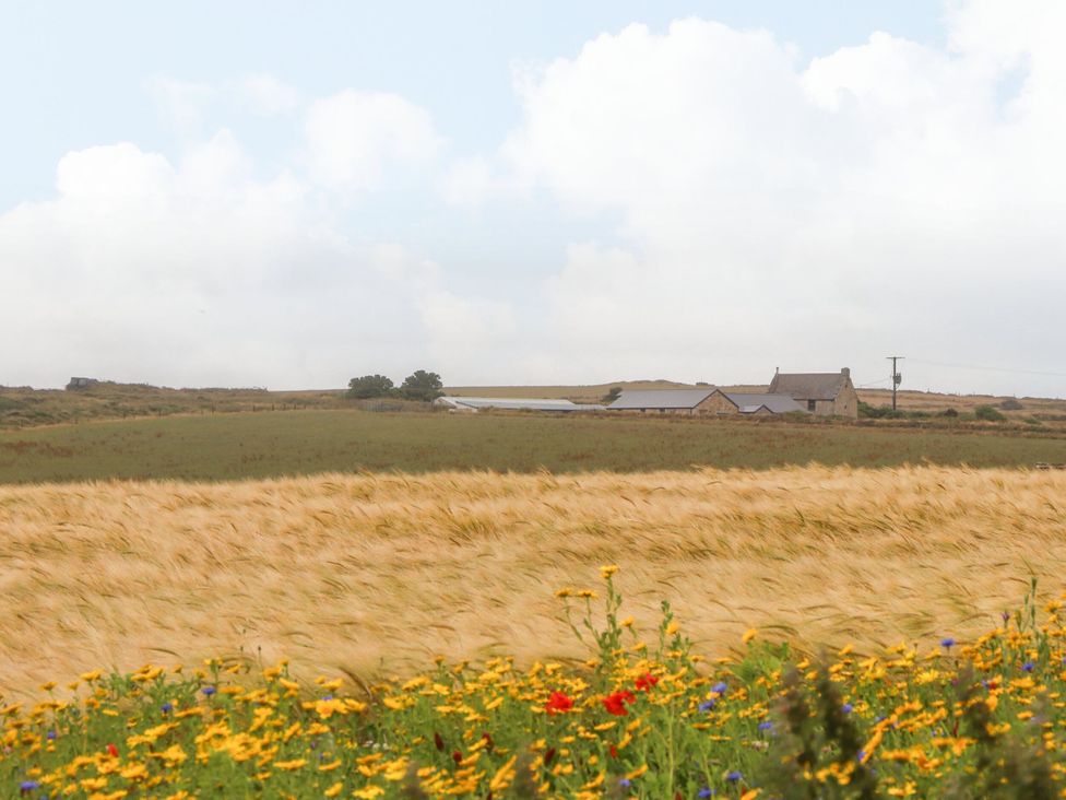 A field with flowers and a farmhouse at Ninevah St. Ives